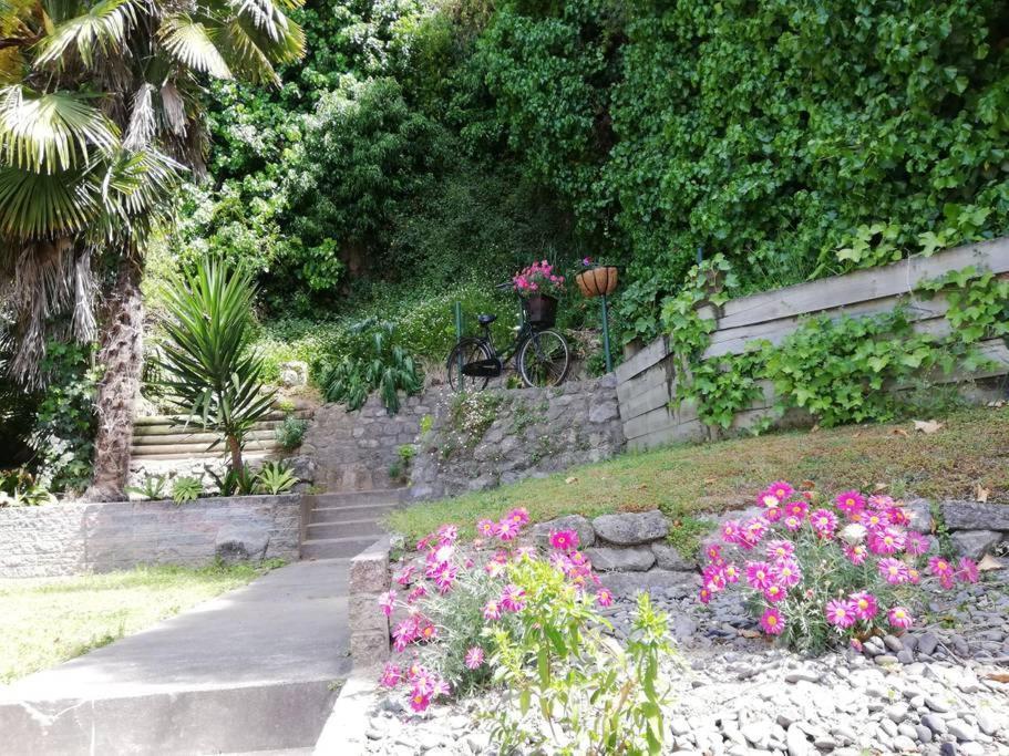 Shakespeare Cottage Napier Exterior foto